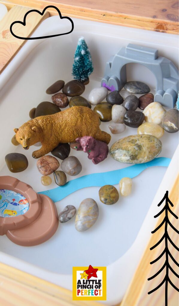 Polar Bear vs. Brown Bear Habitat Activity highlighting a brown bear hibernation sensory setup with forest materials, den space, and natural textures.