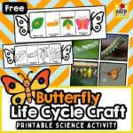Butterfly Life Cycle Craft Printable – coloring page showing egg, caterpillar, pupa, and butterfly for kids to learn metamorphosis in a fun way
