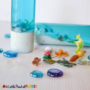Ocean Aquarium Sensory Bottle: Kids can learn and explore sea animals with their own mini aquarium sensory bottle. (summer, sand, shells, kids activity)